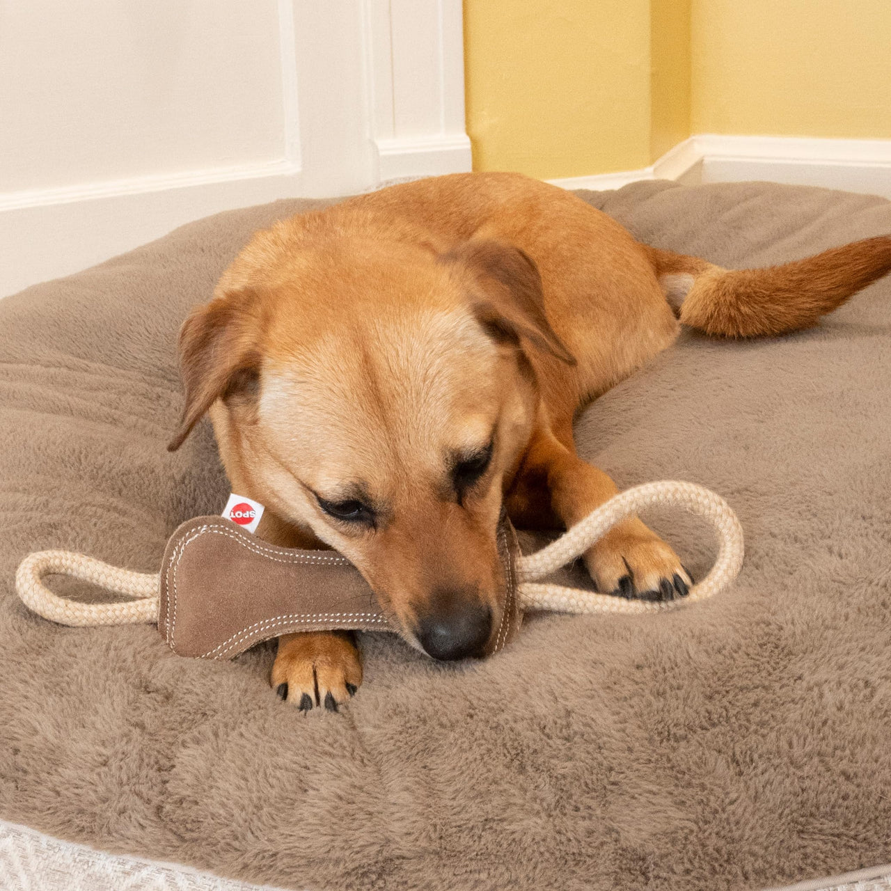 SPOT Dura-Fused Leather Bone Tug Dog Toy – Durable Real Leather & Jute Chew Toy with Double Rope Handles & Squeaker, For Moderate Chewers, 18in