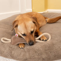 Thumbnail for SPOT Dura-Fused Leather Bone Tug Dog Toy – Durable Real Leather & Jute Chew Toy with Double Rope Handles & Squeaker, For Moderate Chewers, 18in