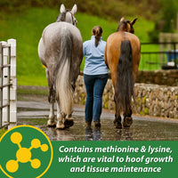 Thumbnail for Farnam HB 15 Hoof Supplement, Supports healthy hoof growth 3 pound, 48 Day Supply