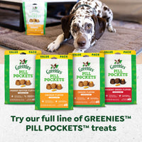 Thumbnail for Greenies Pill Pockets for Dogs Large Size, Dog Treat Pouch for Capsule Medication, Peanut Butter Flavor, 15.8 oz. Pouch