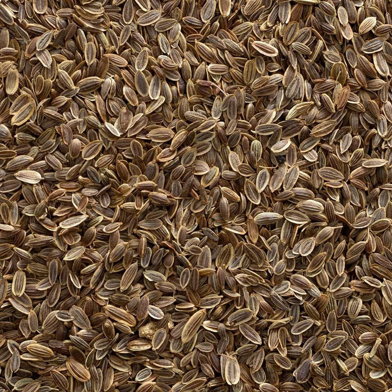 Frontier Co-op Organic Whole Dill Seed 1lb
