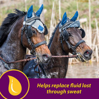 Thumbnail for Farnam Horse Health Apple-Dex Apple Flavored Electrolytes for Horses 5 pound