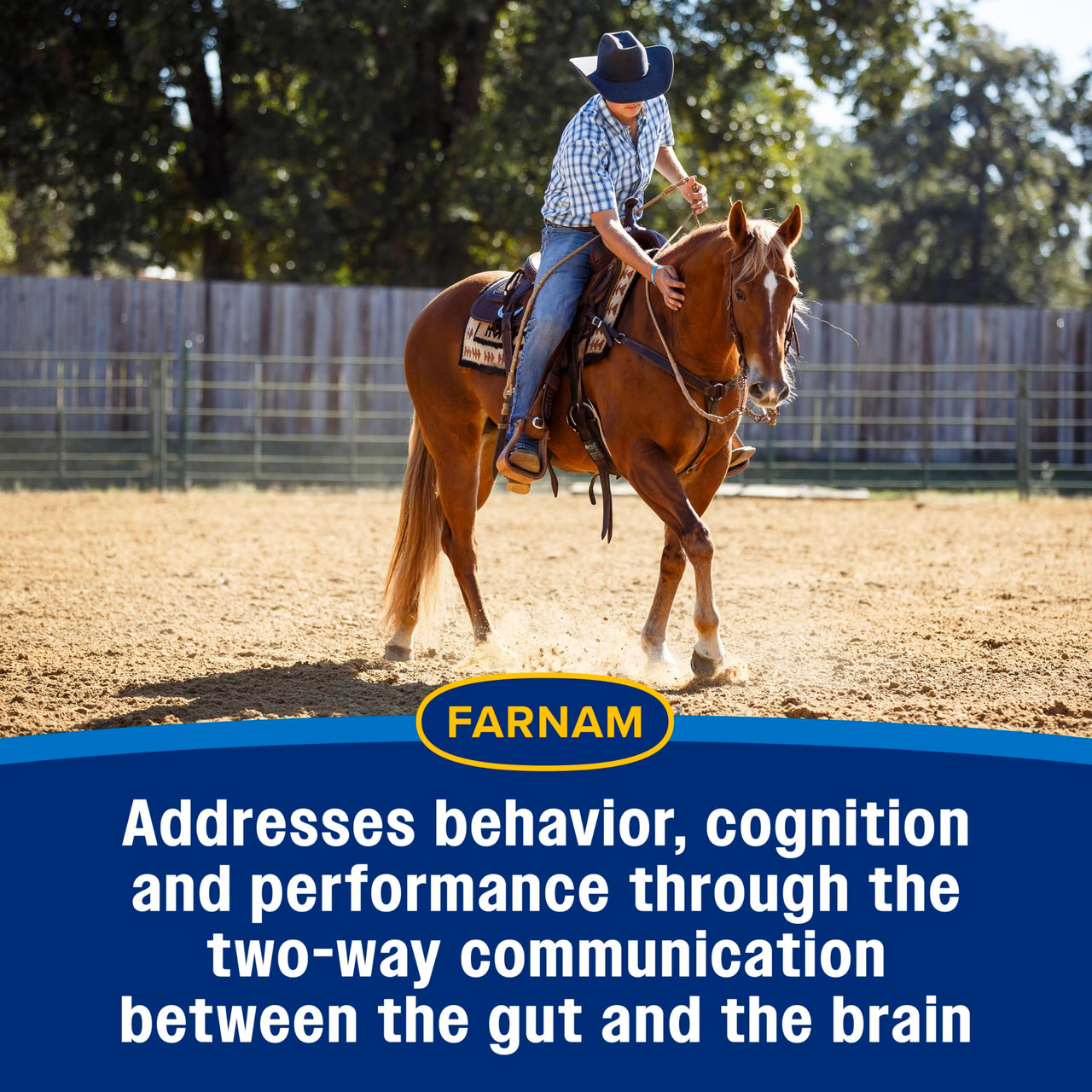 Farnam Quietex Show Pellets, Horse Calming Supplement and Focus Support, Show Safe Horse Calming Magnesium Supplement with Omega Fatty Acids, Helps Manage Behavior & Stress Relief for Horses, 3.75 lbs