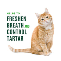 Thumbnail for Minties Dental Treats for Cats, Chicken Flavored Treats for Cats, Freshens Breath and Controls Tartar, 2.5oz