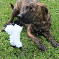 Thumbnail for SPOT Baa Baa Black Sheep Plush Dog Toy - Cute and Cuddly Fleece Toy with Squeaker for Small Dogs and Puppies, 8in Black and White Lamb