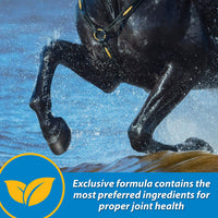 Thumbnail for Farnam Fluidflex Liquid Joint Supplement for Horses, Helps Maintain Healthy Hip & Joint Function, 32 Ounces 32 Day Supply
