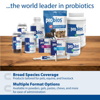 Thumbnail for Probios for Horses Soft Chews, Daily Probiotic Supplement for Gut Health, Digestion & Immune Support, Horse Supplies, Apple Flavor, 1.32 lbs (600 Grams)