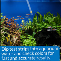 Thumbnail for API Test Strips Ammonia