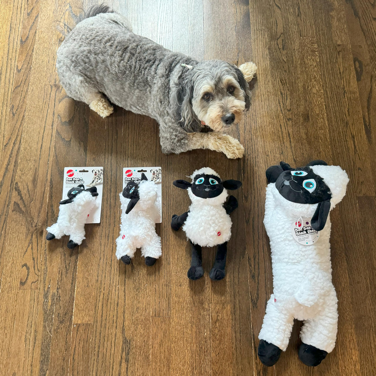 SPOT Baa Baa Black Sheep Plush Dog Toy - Cute and Cuddly Fleece Toy with Squeaker for Medium to Large Dogs and Puppies, 13in Black and White Lamb
