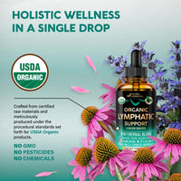 Thumbnail for USDA Organic Lymphatic Drainage Supplement - Echinacea | Elderberry | Dandelion | Rosehip | Cleavers | Calendula | Burdock - Made in USA - Lymph System Drops - Immune Support, Cleanse & Detox, 2 fl oz
