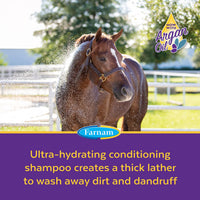 Thumbnail for Farnam Vetrolin Bath 32 Fluid Ounces