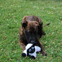 Thumbnail for SPOT Baa Baa Black Sheep Plush Dog Toy - Cute and Cuddly Fleece Toy with Squeaker for Small Dogs and Puppies, 8in Black and White Lamb