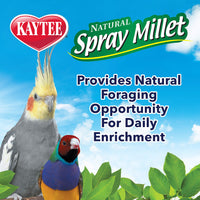 Thumbnail for Kaytee Spray Millet Treat for Pet Birds, 3 Ounce