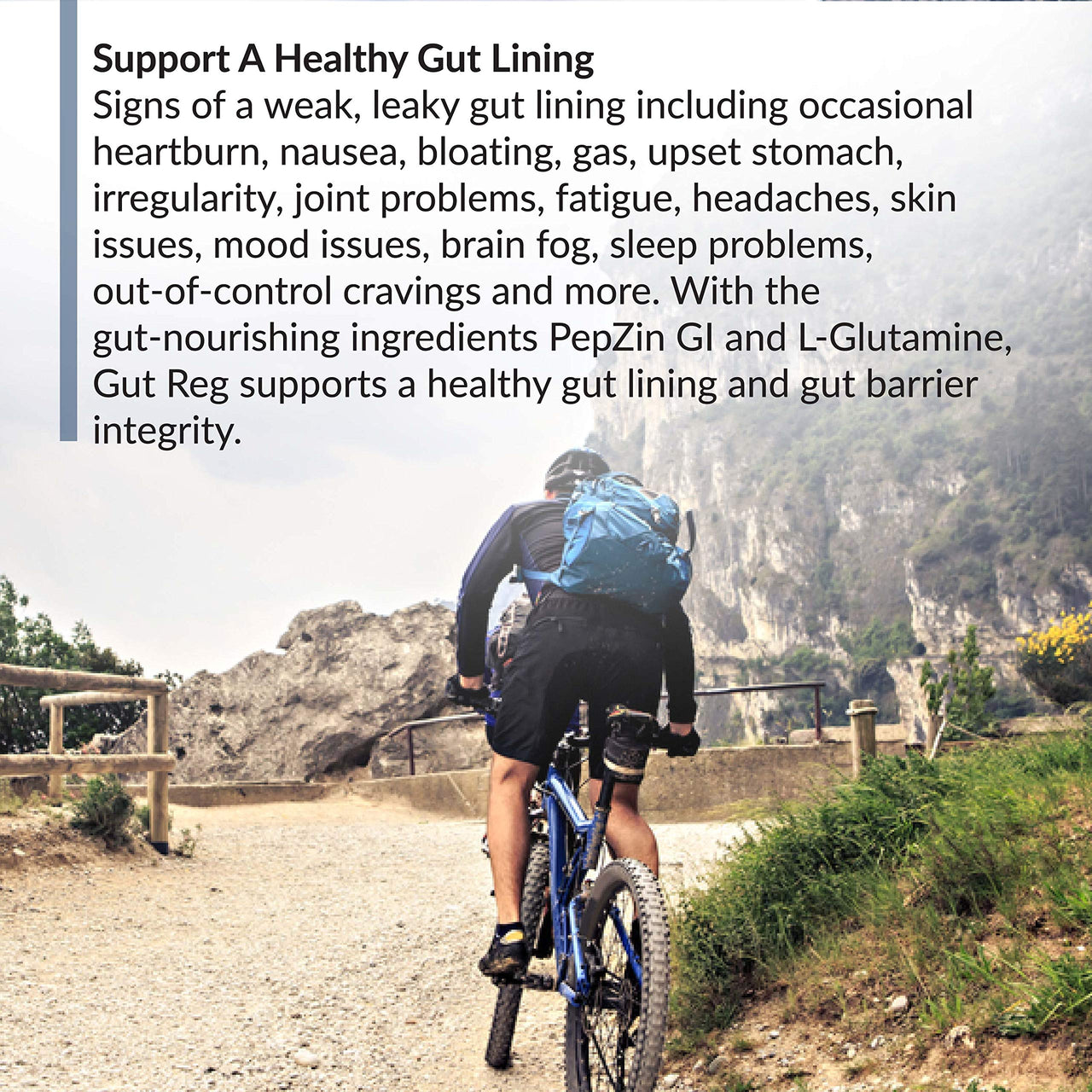 BioTrust Gut Reg Supports a Healthy Gut Lining, Helps Restore Gut Health and Helps Relieve Occasional GI Discomfort with PepZin GI, L-Glutamine and Ginger Extract, Non-GMO, Gluten-Free (60 Capsules)
