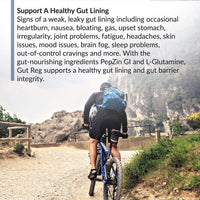 Thumbnail for BioTrust Gut Reg Supports a Healthy Gut Lining, Helps Restore Gut Health and Helps Relieve Occasional GI Discomfort with PepZin GI, L-Glutamine and Ginger Extract, Non-GMO, Gluten-Free (60 Capsules)