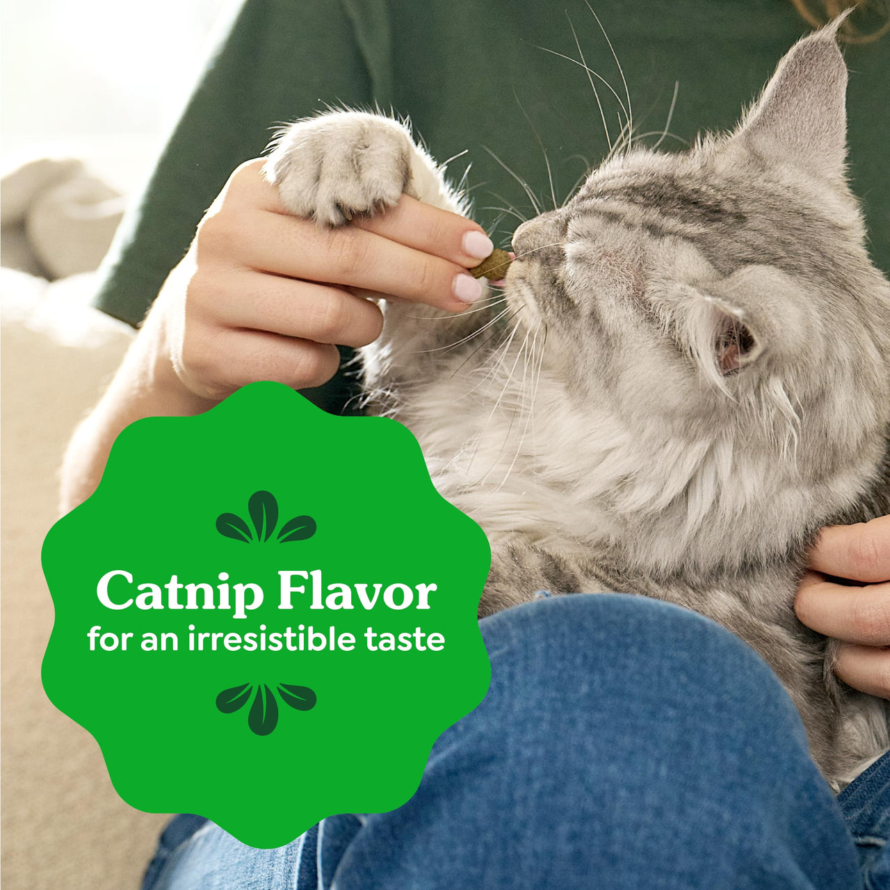 Greenies Cat Treats, Feline Veterinarian-Recommended Adult Natural Dental Treats, Catnip Flavor, 21 oz. Tub