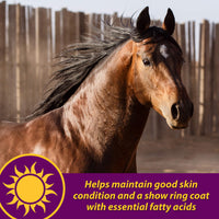 Thumbnail for Horse Health Joint Combo Hoof & Coat, Glucosamin, Chrondroitin, Vitamin C, MSM, Biotin, Lysine, ZInc, Omega 3 and 6 Fatty Acids, 64 day supply