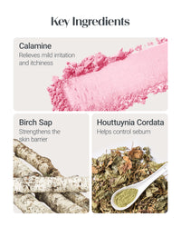 Thumbnail for THESAEM Saemmul Perfect Pore Pink Pact - Sebum Control Face Powder with 15% Calamine for Oily Sensitive Skin - Oil Control Moisture System Compact - Korean Makeup Pressed Powder, 0.37 oz. 2 Pack