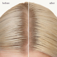 Thumbnail for Pureology Style + Protect Refresh & Go Dry Shampoo | For Oily, Color-Treated Hair | Volumizing & Protective Dry Shampoo | Silicone-Free | Vegan | Updated Packaging | 5.3 Oz. |