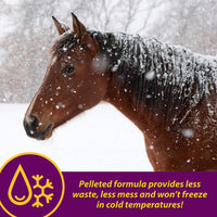 Thumbnail for Farnam Horse Health Red Cell Pellets, Vitamin-Iron-Mineral Supplement for Horses, Helps Fill Important Nutritional Gaps in Horse's Diet, 4 lbs., 64-Day Supply