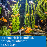 Thumbnail for API Test Strips Ammonia