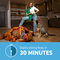 Thumbnail for Capstar (Nitenpyram) Fast-Acting Oral Flea Treatment for Dogs 2-25 Lbs, Vet-Recommended Medication Tablets, Flea Tablets for Dogs Start Killing in 30 Minutes, 6 Doses