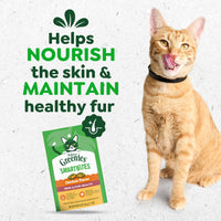 Thumbnail for Greenies Cat Treats, Feline Smartbites, Skin & Fur Health, Crunchy and Soft Cat Treats, Chicken Flavor, 2.1 oz. Pack