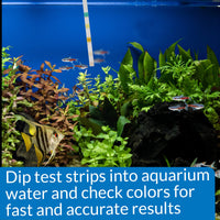 Thumbnail for API 5-IN-1 TEST STRIPS Freshwater and Saltwater Aquarium Test Strips 4-Count Box