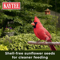 Thumbnail for Kaytee Wild Bird No Mess Food Seed Blend For Blue Jays, Woodpeckers, Juncos, Cardinals, Grosbeaks, Sparrows, and Finches, 5 Pound