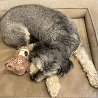 Thumbnail for SPOT Fun Sloth Dog Toy - Soft, Stuffed, Squeaky, Plush Fabric Toy for Mini and Small Dogs and Puppies, Enrichment for Light Chewers and Cuddlers, 7in