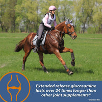 Thumbnail for Farnam MaxFlex XR Extended Release Joint Supplement for Horses, Provides a continuous supply of joint health ingredients for 24 hours, 0.9375 pound, 30 Day Supply