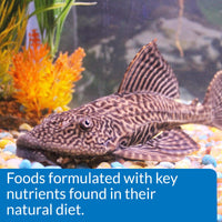 Thumbnail for API ALGAE EATER WAFERS Algae Wafer Fish Food 1.3-Ounce Container