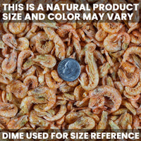 Thumbnail for San Francisco Bay Brand Freeze Dried Krill Fish Food - All-Natural, Sustainably Harvested, High Protein Dried Shrimp for Freshwater and Saltwater Carnivores, Koi, Cichlids, Turtles - 2.54 oz (72g)