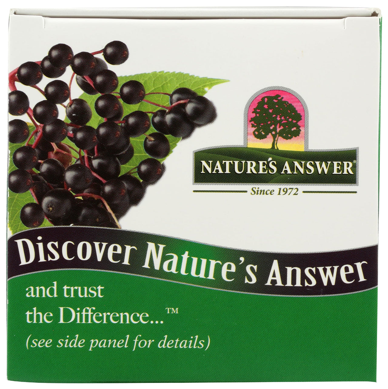 Nature's Answer Sambucus Elderberry Syrup 16 Ounce | Great Tasting Immune Support Supplement | Antioxidant, Vegan, Gluten Free, Made in USA | Single Count