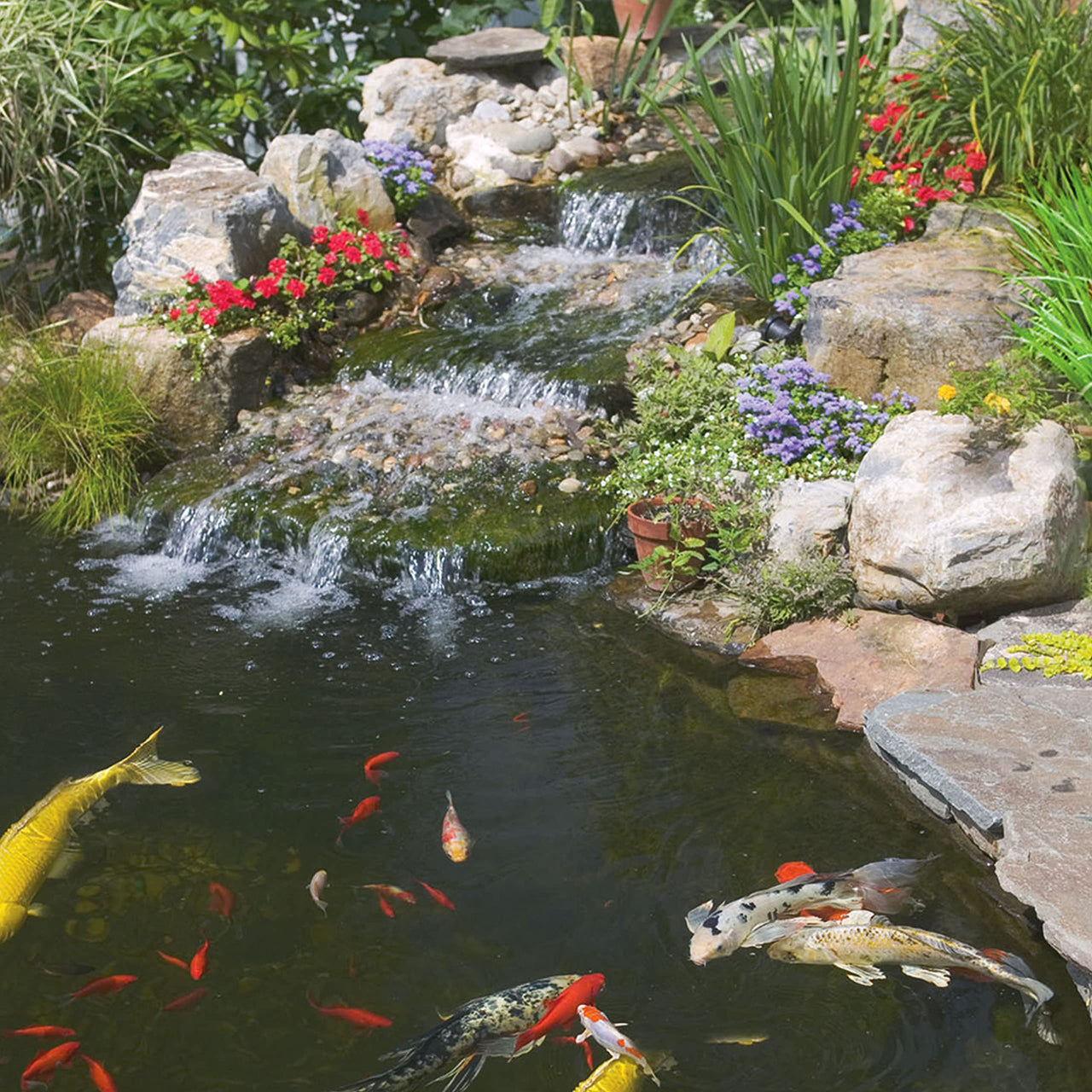 Tetra Pond Sticks, Koi Fish & Goldfish Food, Soft Sticks, Easy to Digest Floating Pond Fish Food, 3.53 ounces