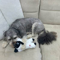 Thumbnail for SPOT Baa Baa Black Sheep Plush Dog Toy - Cute and Cuddly Fleece Toy with Squeaker for Small to Medium Dogs and Puppies, 11in Black and White Lamb