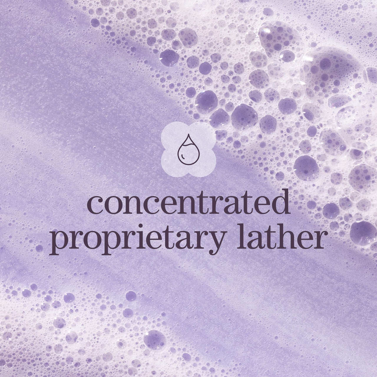 Pureology Hydrate Shampoo - For Dry or Color Treated Hair, Moisturizing Shampoo For Hydration & Softness, With Rose Extract & Green Tea, Vegan & Sulfate-Free, 1.7 Fl Oz