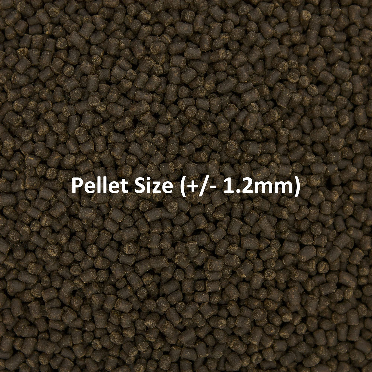 Ocean Nutrition Formula Two Pellets - Fish Food for Herbivorous & Omnivorous Marine Tropical Fish, High Protein(40%) - 7 oz (200 g) Small Pellets