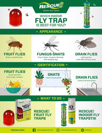 Thumbnail for RESCUE! Fruit Fly Trap Bait Refill - 30 Day Supply