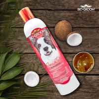 Thumbnail for Bio-Groom Flea & Tick Dog Shampoo - Flea and Tick Prevention for Dogs, Cat Flea Treatment, Cruelty-Free, Made in USA, Natural Tick Repellent, Protein-Lanolin Shampoo - 12 fl oz 1-Pack
