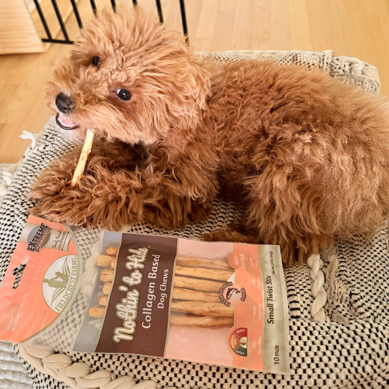 Ethical Pet Nothin` to Hide Salmon Twist Stix