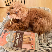 Thumbnail for Ethical Pet Nothin` to Hide Salmon Twist Stix