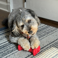 Thumbnail for SPOT Treat Holder- Safety Device Bully Stick Holder & Yak Cheese Holder for Medium and Large Dogs, to Help Prevent Choking, 6in