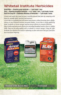 Thumbnail for Whitetail Institute Arrest Max Selective Grass Control Herbicide Specifically Developed for Deer Food Plots, 1 Pint