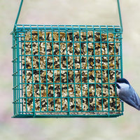 Thumbnail for Kaytee Wild Bird Seed & Mealworm Seed Cake Food For Bluebirds, Chickadees, Woodpeckers and More, 1.4 Pound