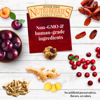 Thumbnail for LAFEBER'S Senior Bird Nutri-Berries Pet Bird Food, Made with Non-GMO and Human-Grade Ingredients, for Parakeets & Cockatiels, 10 oz