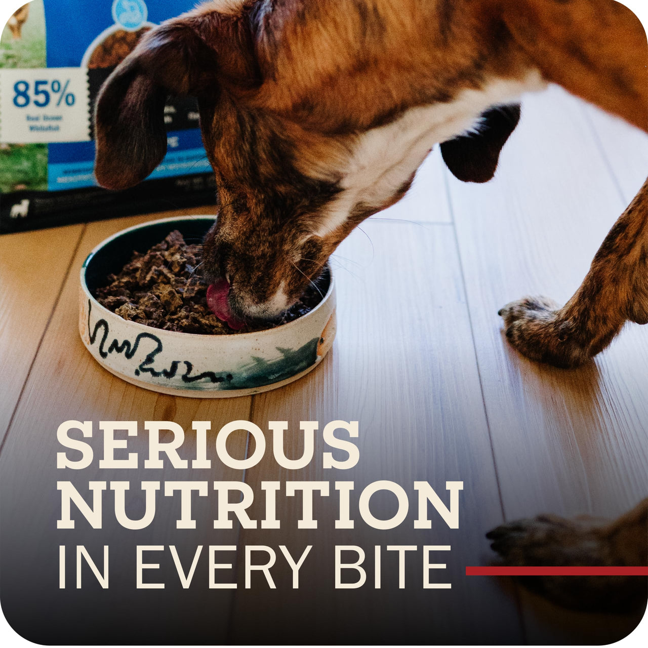 Redbarn Powerfood Air Dried Puppy Food - 93% Chicken & Chicken Organs - High Protein Non-GMO Dry Recipe to Support Healthy Growth, Development, Immunity & Digestive Health for All Breeds - 2lb