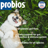 Thumbnail for Probios Digestive Support Probiotic for All Species, Probiotics for Gut Health, Dispersible Powder, 240 gm (Pack of 2)
