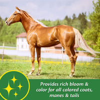 Thumbnail for Farnam Super 14 Healthy Skin & Coat Supplement for Horses, Keeps Coats Shiny & Gleaming Year-Round 2.75 Pound, 44 Day Supply