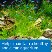 Thumbnail for API AQUARIUM START UP PACK Water Conditioner 1.25-Ounce Bottle 2-Pack